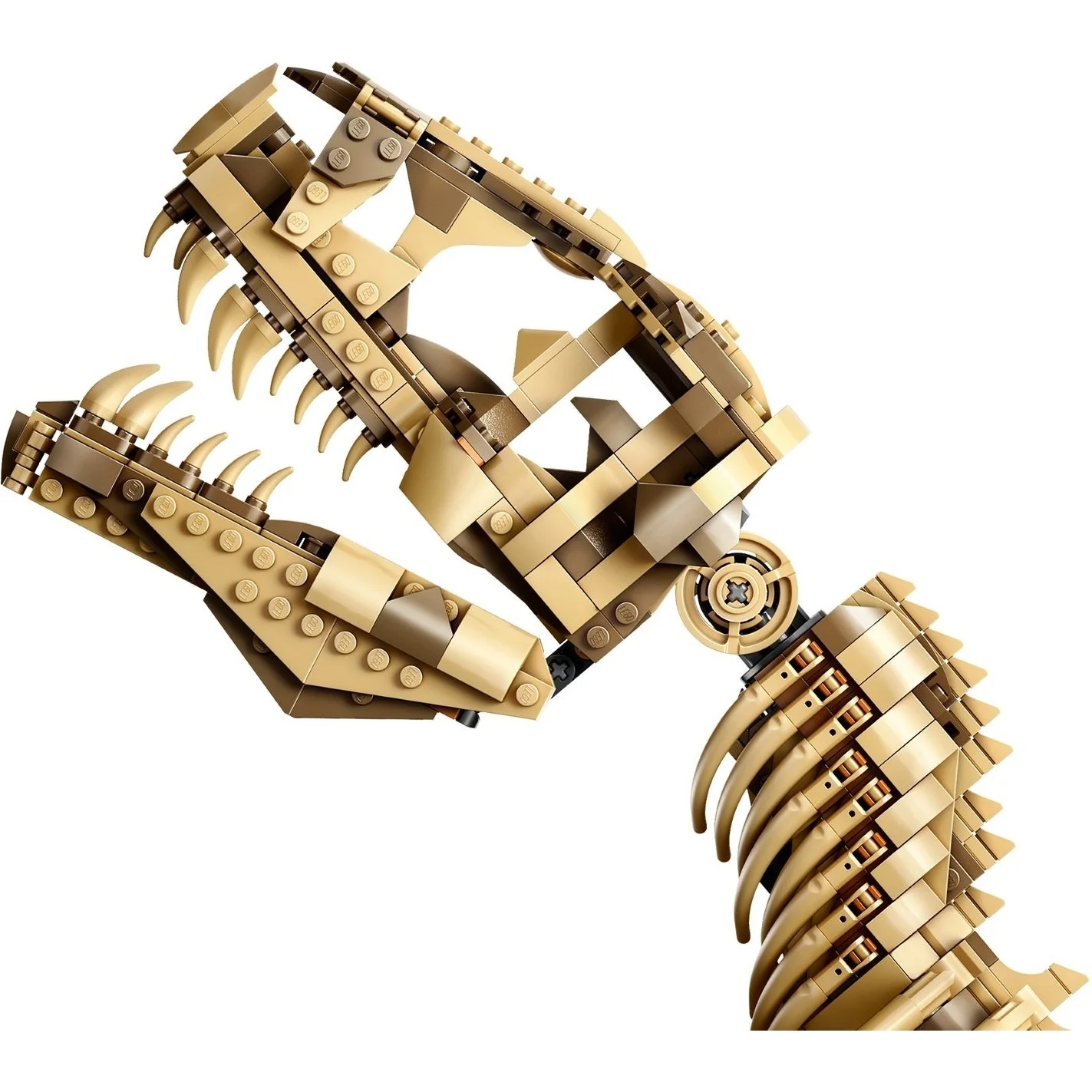 LEGO Jurassic World Dinosaur Fossils: Tyrannosaurus rex 76968 - Image 12