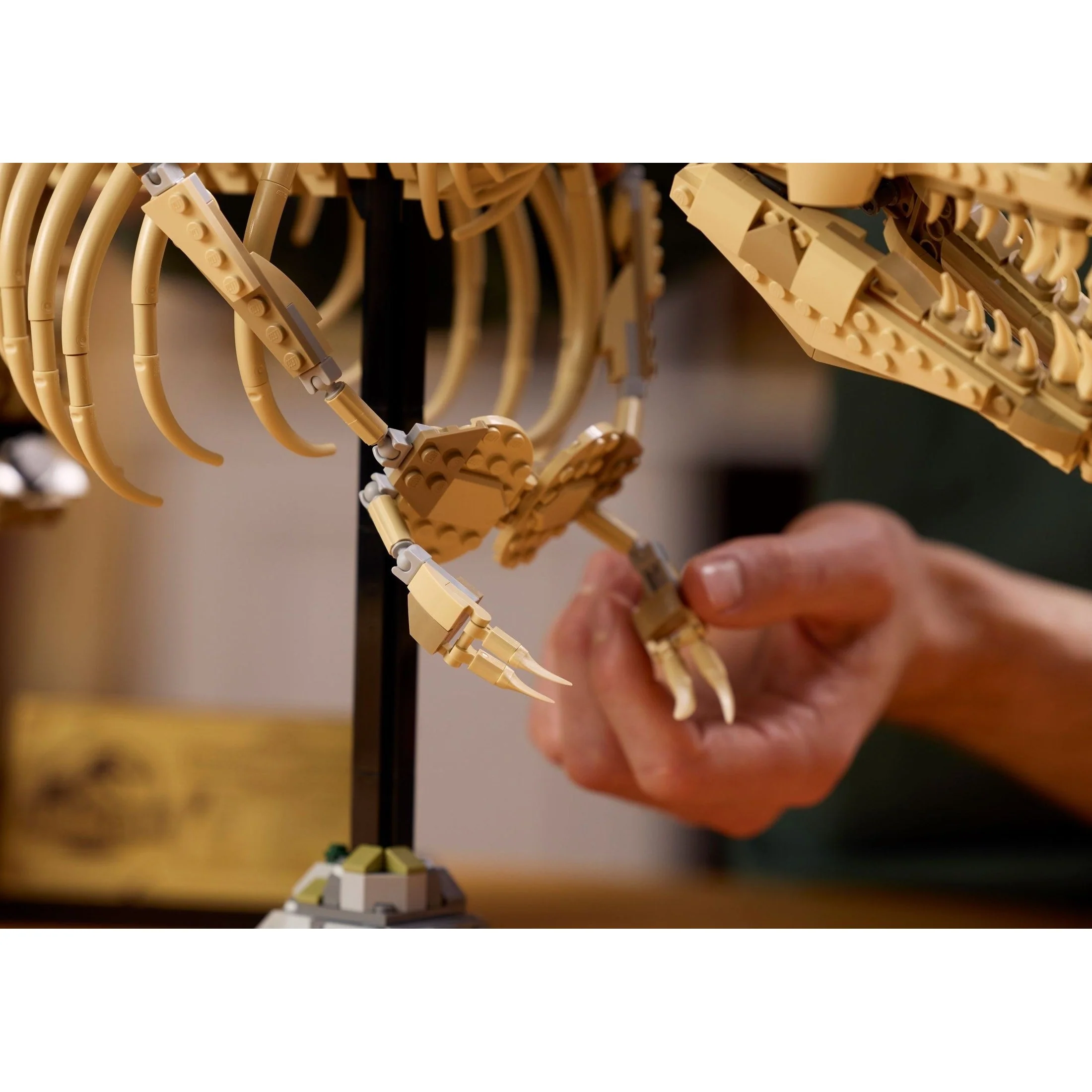 LEGO Jurassic World Dinosaur Fossils: Tyrannosaurus rex 76968 - Image 7